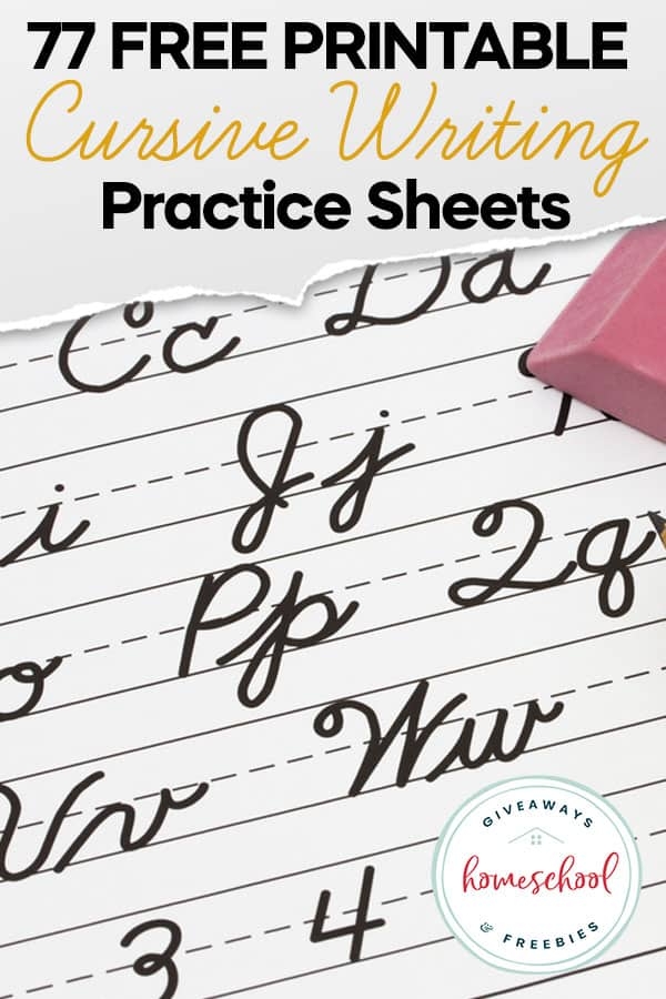 Cursive Animals Handwriting Practice Exercise for Elementary Students Third grade student practicing cursive handwriting by tracing and writing animal words on a worksheet