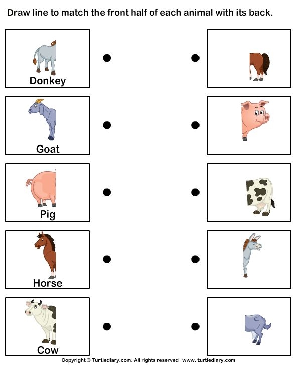 Kindergarten student matching CVC words to animal pictures on a worksheet