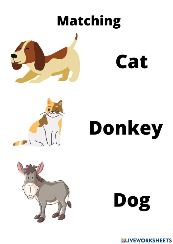 Kindergarten student matching CVC words to animal pictures on a reading worksheet