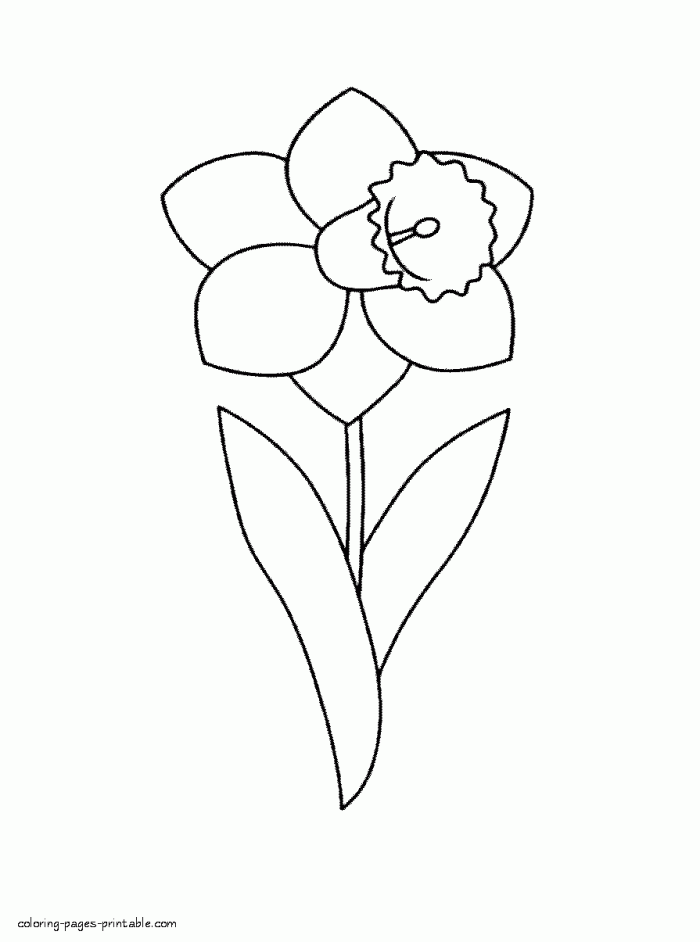 Parts of a flower worksheet for first grade daffodil coloring activity 4 First grade student coloring a diagram of a daffodil to learn flower anatomy