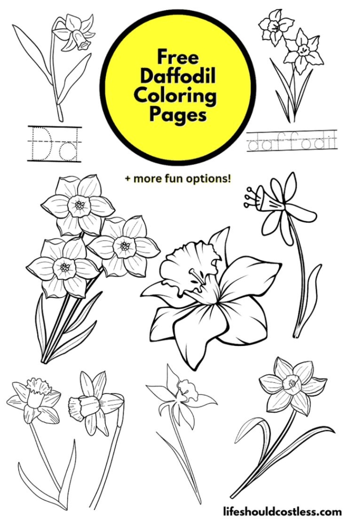 Daffodil Flower Coloring Activity for First Grade Learning the Parts of a Flower First grade students color a yellow daffodil flower with labeled parts including petals, stem, and leaves on this spring worksheet