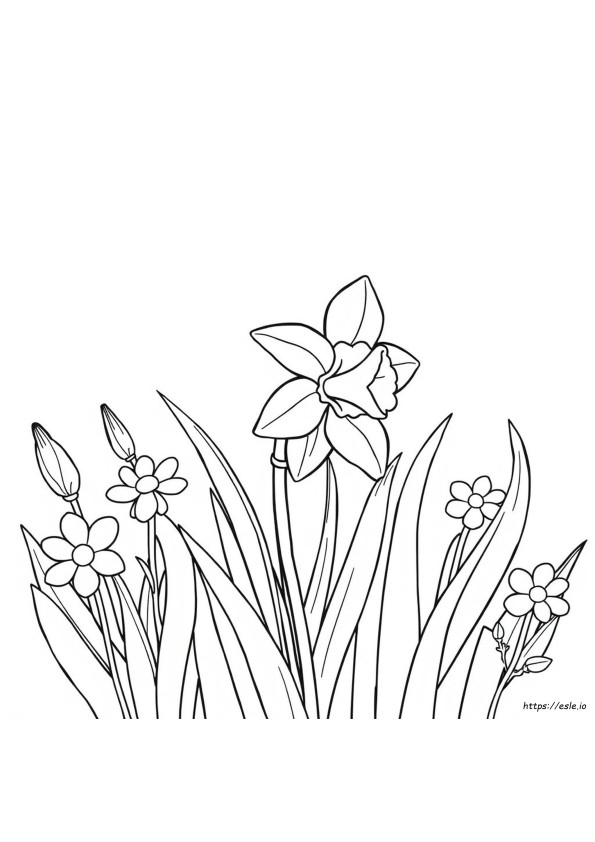 Color a Daffodil educational worksheet for first grade science and math learning First grade worksheet featuring a printable daffodil diagram for students to color and label