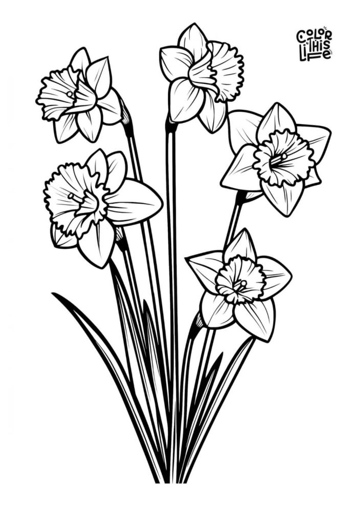 Daffodil parts worksheet for first grade science and art lesson 21 First grade students coloring a daffodil diagram worksheet to learn about plant biology