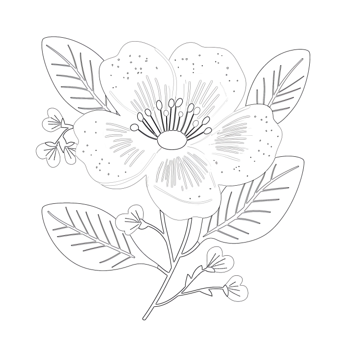 Pick a Flower Pictograph worksheet for Second Grade