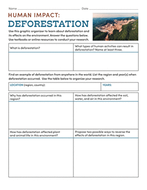 Deforestation worksheet graphic organizer for understanding human impact on the environment Graphic organizer illustrating the causes and consequences of deforestation for sixth graders