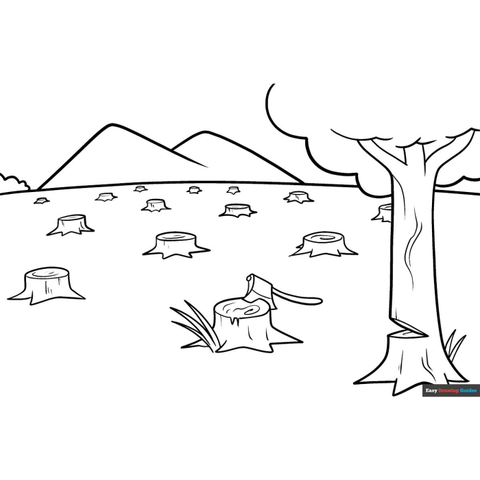Human Impact Deforestation Worksheet Activity Page 1 Sixth grade student worksheet featuring a graphic organizer about the causes and environmental consequences of deforestation