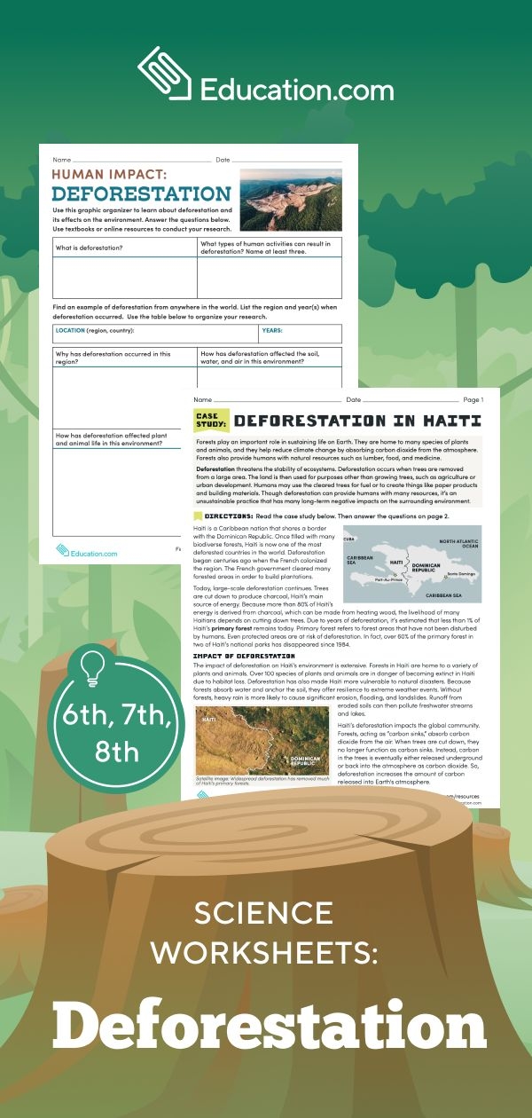 Deforestation worksheet for understanding human impact on ecosystems Graphic organizer illustrating the effects of deforestation on the environment for sixth graders