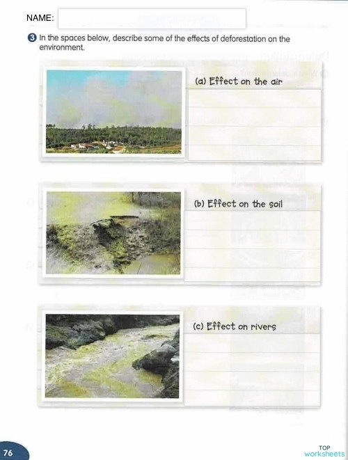 Deforestation worksheet for sixth graders exploring environmental impact Graphic organizer illustrating the causes and effects of deforestation on ecosystems