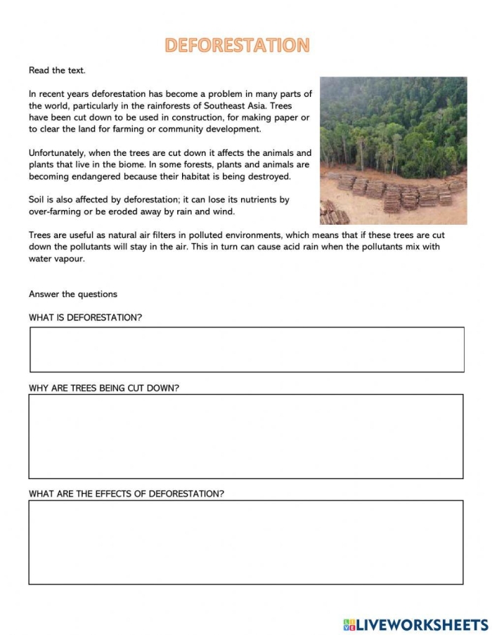 Human Impact Deforestation Worksheet 14 Graphic organizer worksheet for sixth grade science students exploring the causes and consequences of deforestation