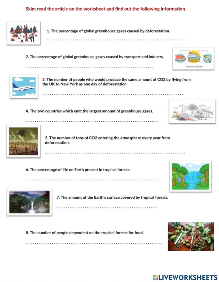 Human Impact: Deforestation worksheet for educational purposes Graphic organizer illustrating the causes and effects of deforestation for sixth graders