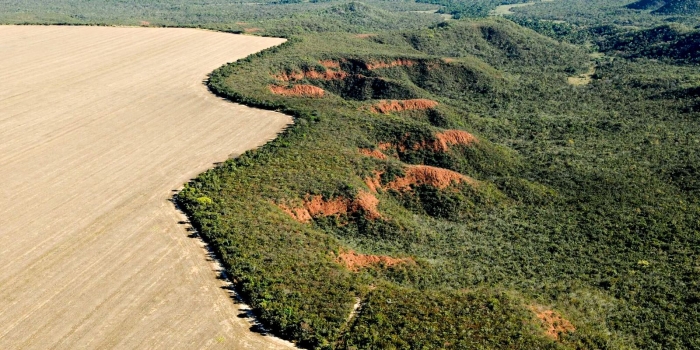 Case Study: Deforestation in Haiti educational worksheet image for counting activities Deforestation in Haiti worksheet for sixth graders focusing on environmental science and numbers