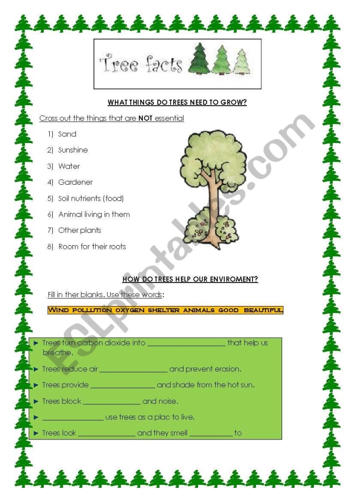 Human Impact Deforestation Worksheet 5 Graphic organizer worksheet for sixth grade life science about the environmental effects of deforestation