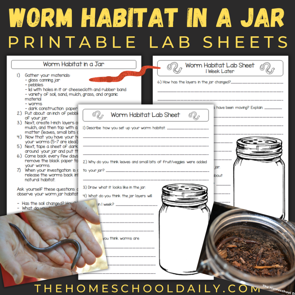 Worksheet for exploring the density of salt water with an experiment using food coloring. Density of Salt Water Experiment for Fourth Grade Students.