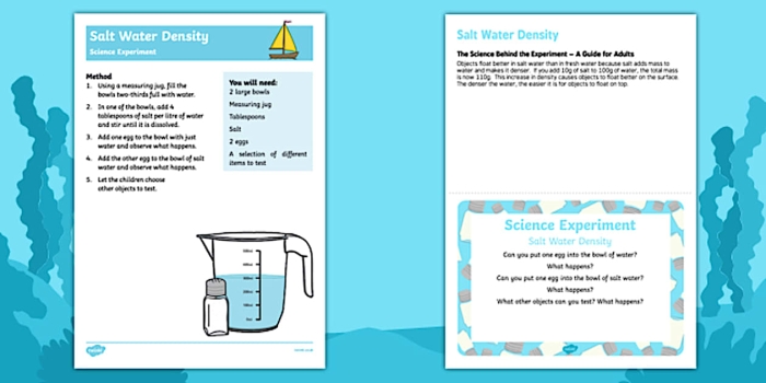 Students conducting an experiment on the density of salt water using food coloring and two types of water. Engaging fourth graders in a hands-on activity about salt water density.