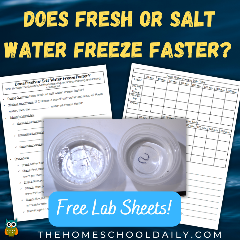 ALT text for a fourth-grade worksheet on the density of salt water, featuring a colorful experiment with food coloring and liquids.