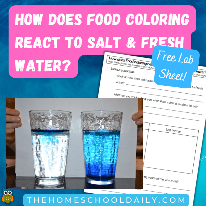 Worksheet demonstrating the density of salt water experiment for fourth graders
