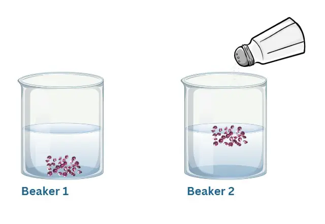 Worksheet showing an experiment on the density of salt water with food coloring and fresh water