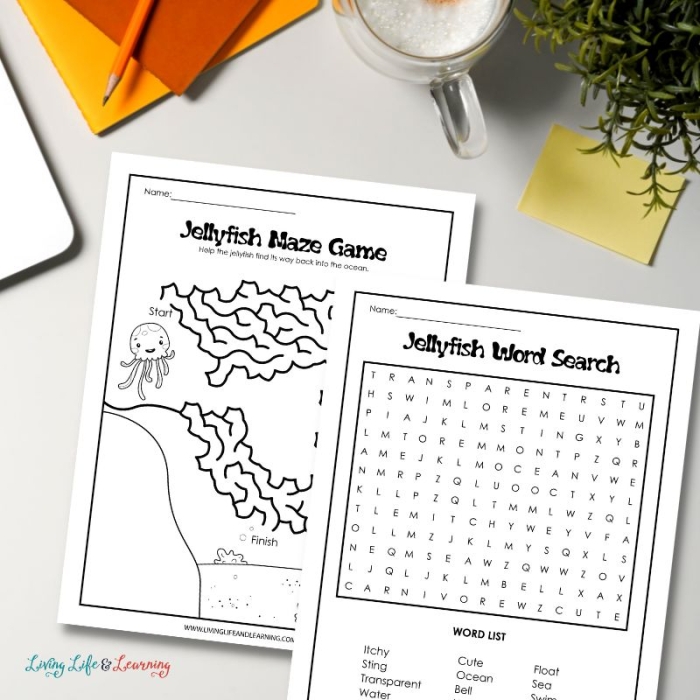 Illustration of various jellyfish species with educational prompts for students