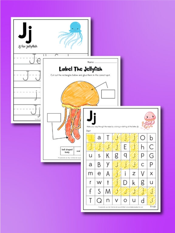 Illustration of various jellyfish species featured in a fifth-grade life science worksheet