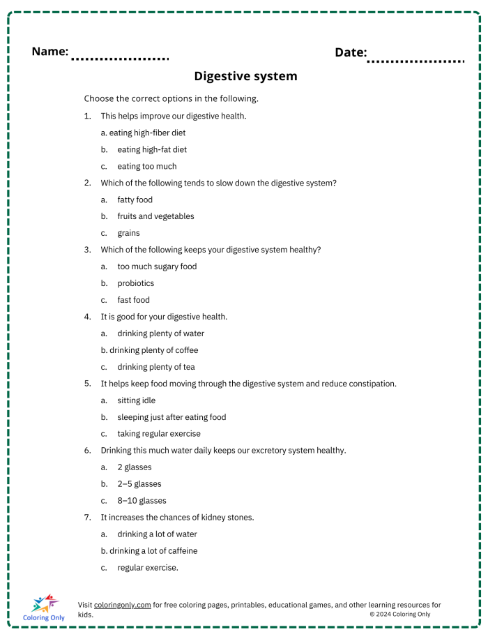 Fifth grade student completing the Inside-Out Anatomy Digestive System worksheet