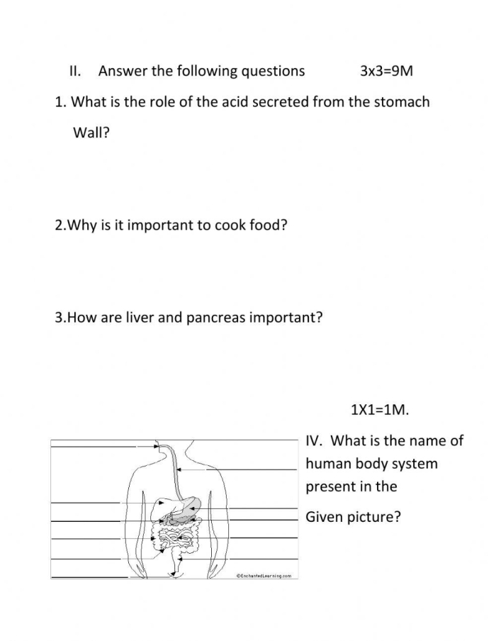 Educational worksheet on the human digestive system for fourth grade students Fourth grade human digestion worksheet with a labeled diagram of the body systems