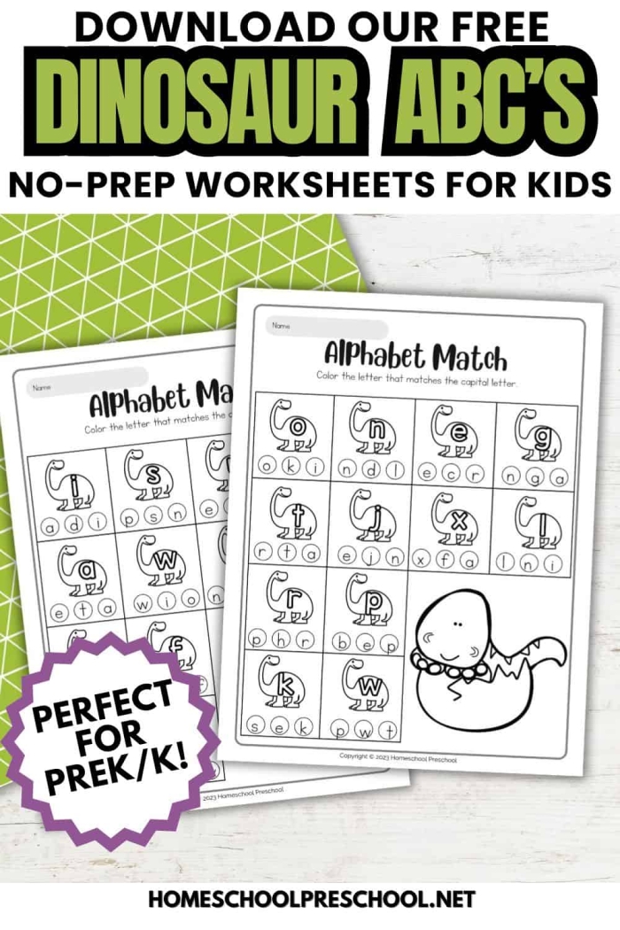 Dinosaur alphabet flashcards designed for preschool children to learn their ABCs. Engaging D is for dinosaur worksheet for early learners.