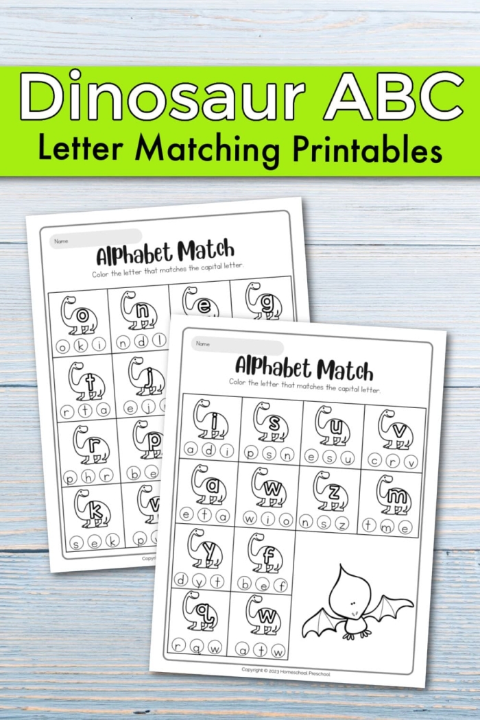 Dinosaur alphabet flashcards designed for Pre-K learners to engage with their ABCs