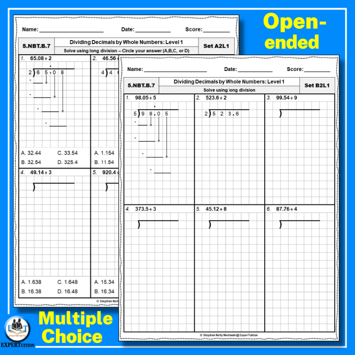 Dividing decimals by whole numbers practice worksheet for fifth graders