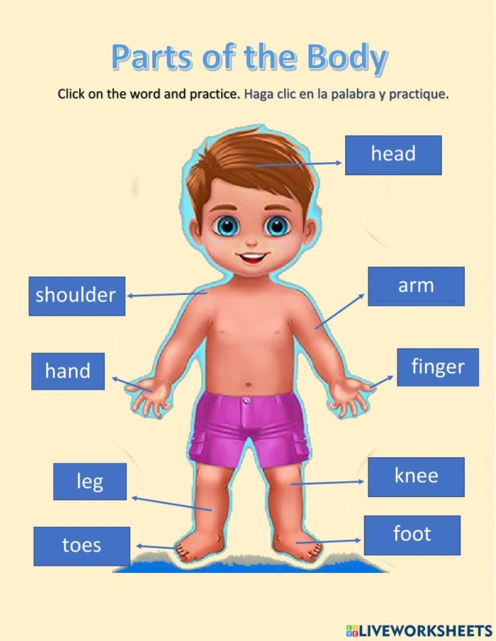 Division Challenge Level 2 worksheet for third graders featuring two-digit divisors and three-digit dividends