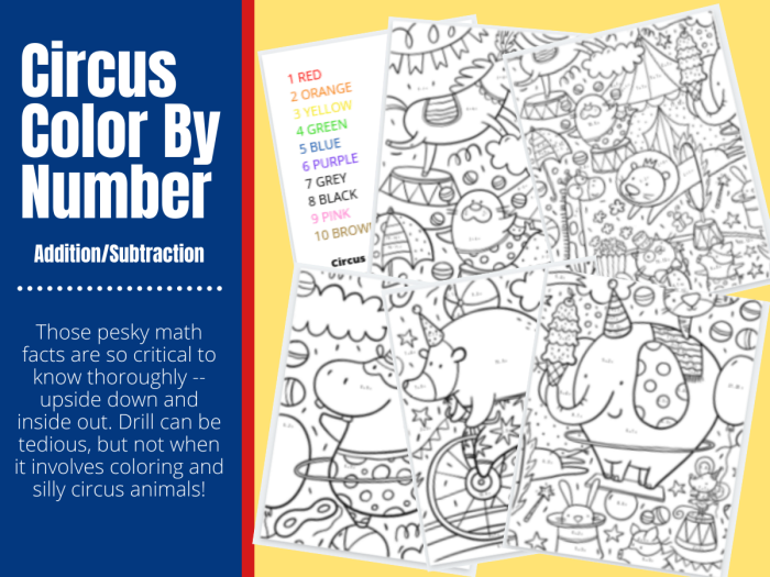 Third grade circus color by number worksheet for division math practice