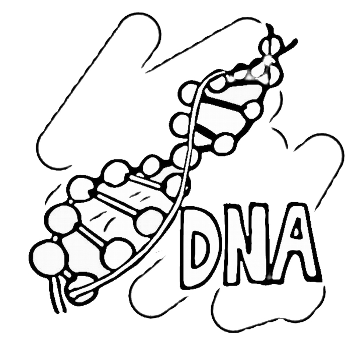 Second grade science worksheet featuring a DNA double helix coloring page for children