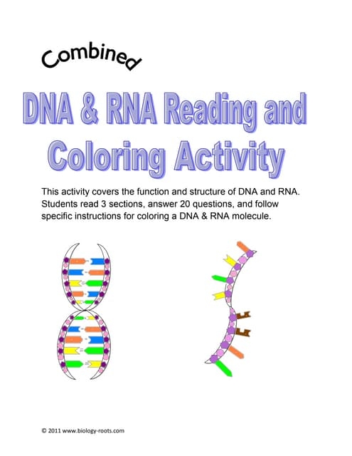 Second grade DNA coloring page showing a colorful double helix structure for students to color and learn about genetics