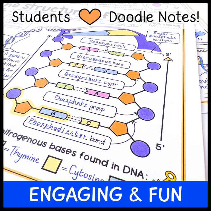 Second grade student coloring worksheet featuring an educational DNA double helix structure