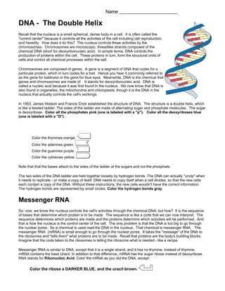 Second grade DNA coloring page worksheet featuring a double helix structure