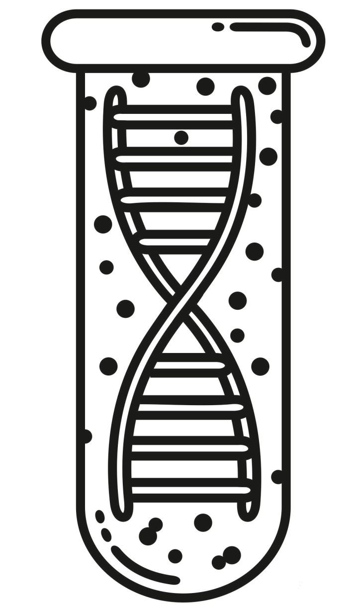 Second grade DNA coloring page worksheet featuring a scientific double helix design