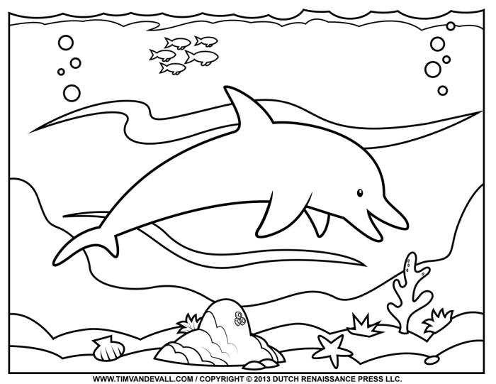 Dolphin coloring page worksheet for first graders to enhance creativity