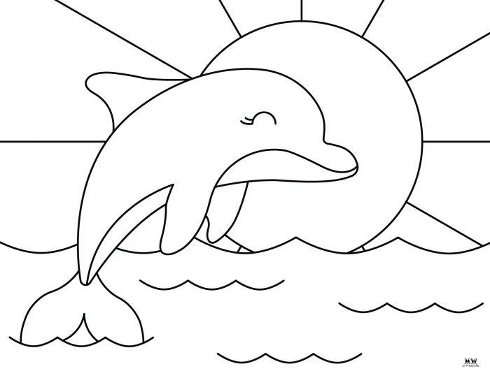 Dolphin coloring page worksheet for first graders to enjoy