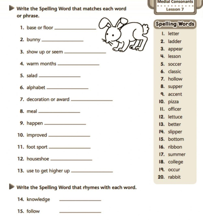 Double Trouble worksheet featuring homonyms for fifth graders to practice sight words