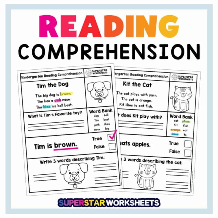 Fourth grade reading comprehension worksheet featuring a passage from The Story of Dr. Dolittle 11
