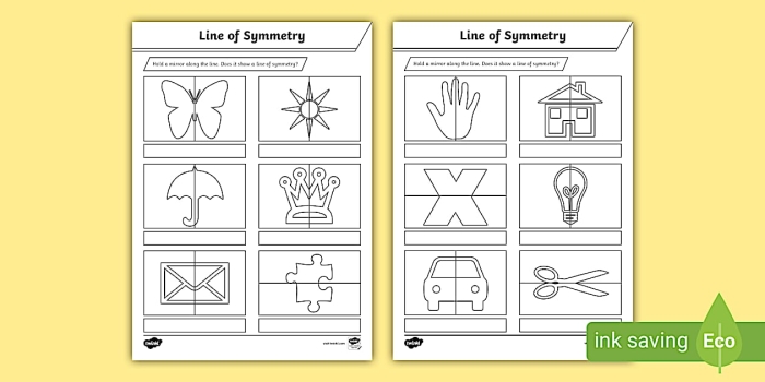 Worksheet showing various shapes for students to identify and draw lines of symmetry