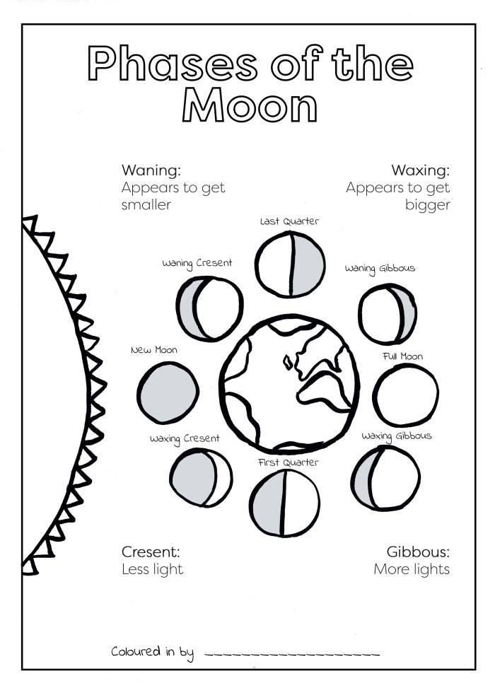 Drawing the Phases of the Moon worksheet for fifth graders illustrating lunar cycles