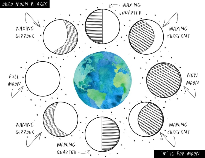 Drawing the Phases of the Moon worksheet for fifth graders illustrating the lunar cycle