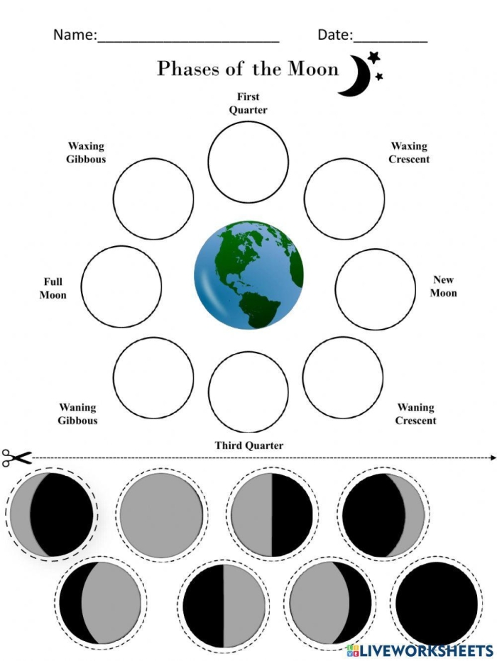 Drawing the Phases of the Moon worksheet for fifth graders illustrating the lunar cycle