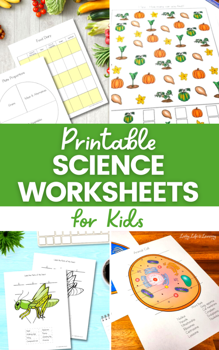 First grade science worksheet about the four layers of the Earth