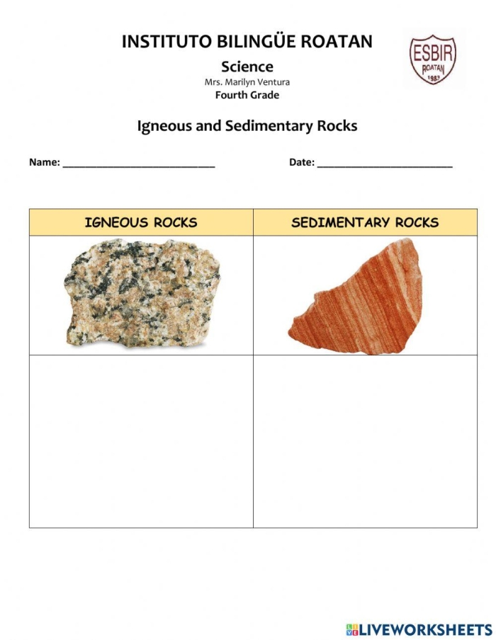 Grammar and Mechanics worksheet for Fourth Grade Worksheet featuring the Earth Rocks! Quick Quiz designed for fourth graders to explore geology. Engaging quiz on geological processes for students to discover Earth's secrets.