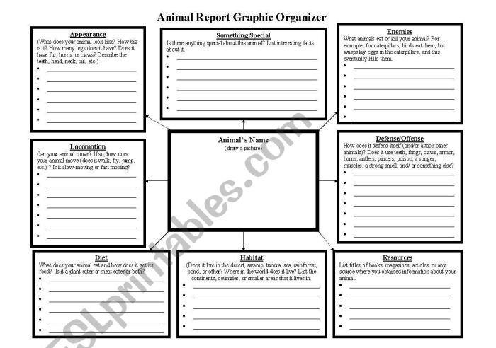 Easter-themed research graphic organizer for fourth graders to record findings