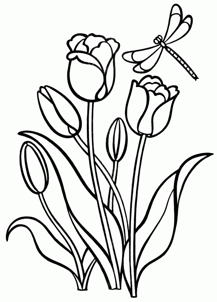 Easter Tulips Coloring Page 16 for Early Math and Spring Holiday Fun Kindergarten student coloring tulip flowers with fraction concepts for Easter learning activity