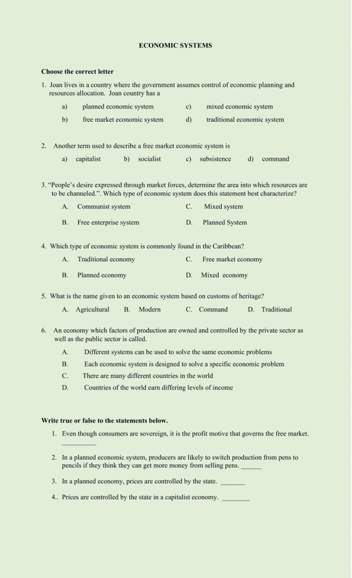 Sixth grade students learning about traditional market command and mixed economic systems on a worksheet page 13