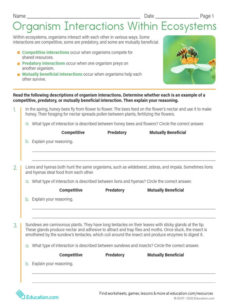 A student working on an Organism Interactions Within Ecosystems worksheet about life science.