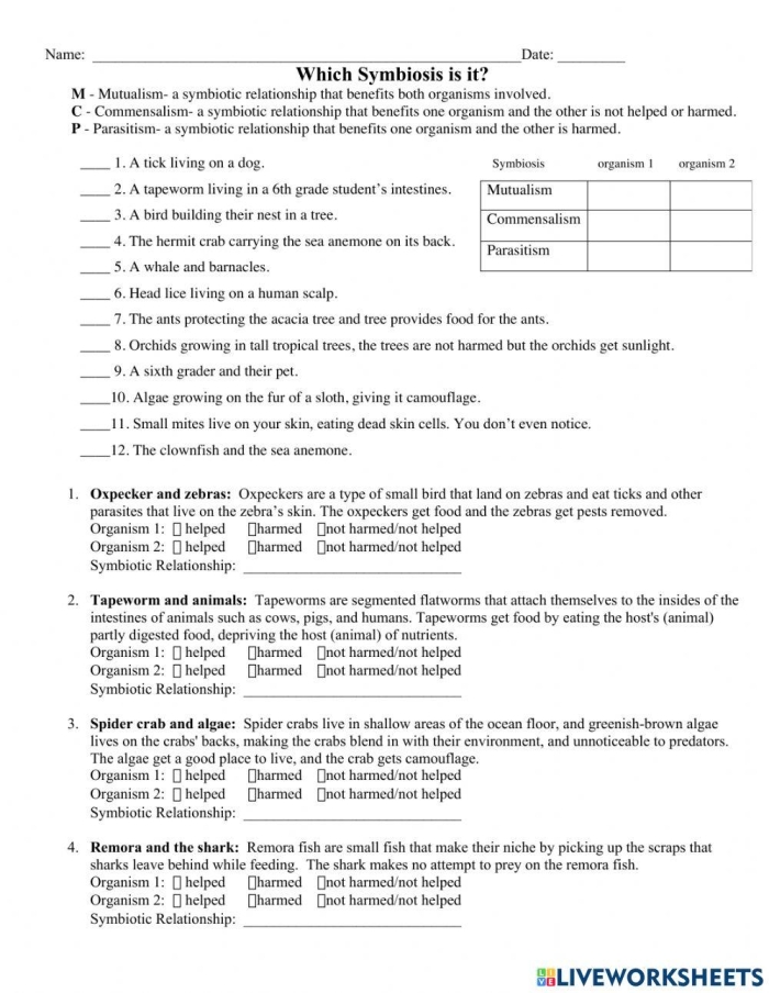 Sixth grade science worksheet focused on mapping various organism interactions within ecosystems